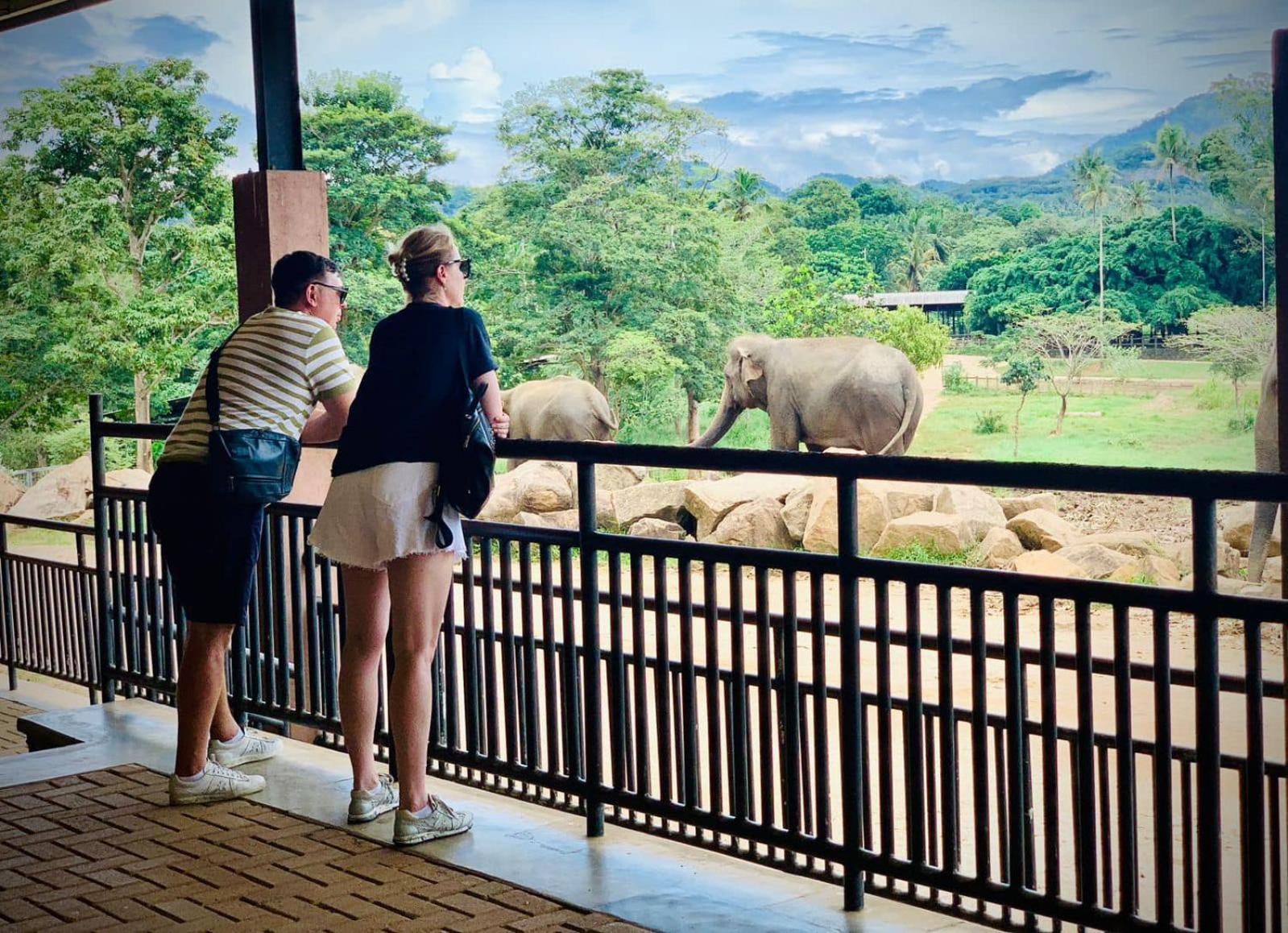 Elepath Lodge- Pinnawala Pinnawala  Buitenkant foto