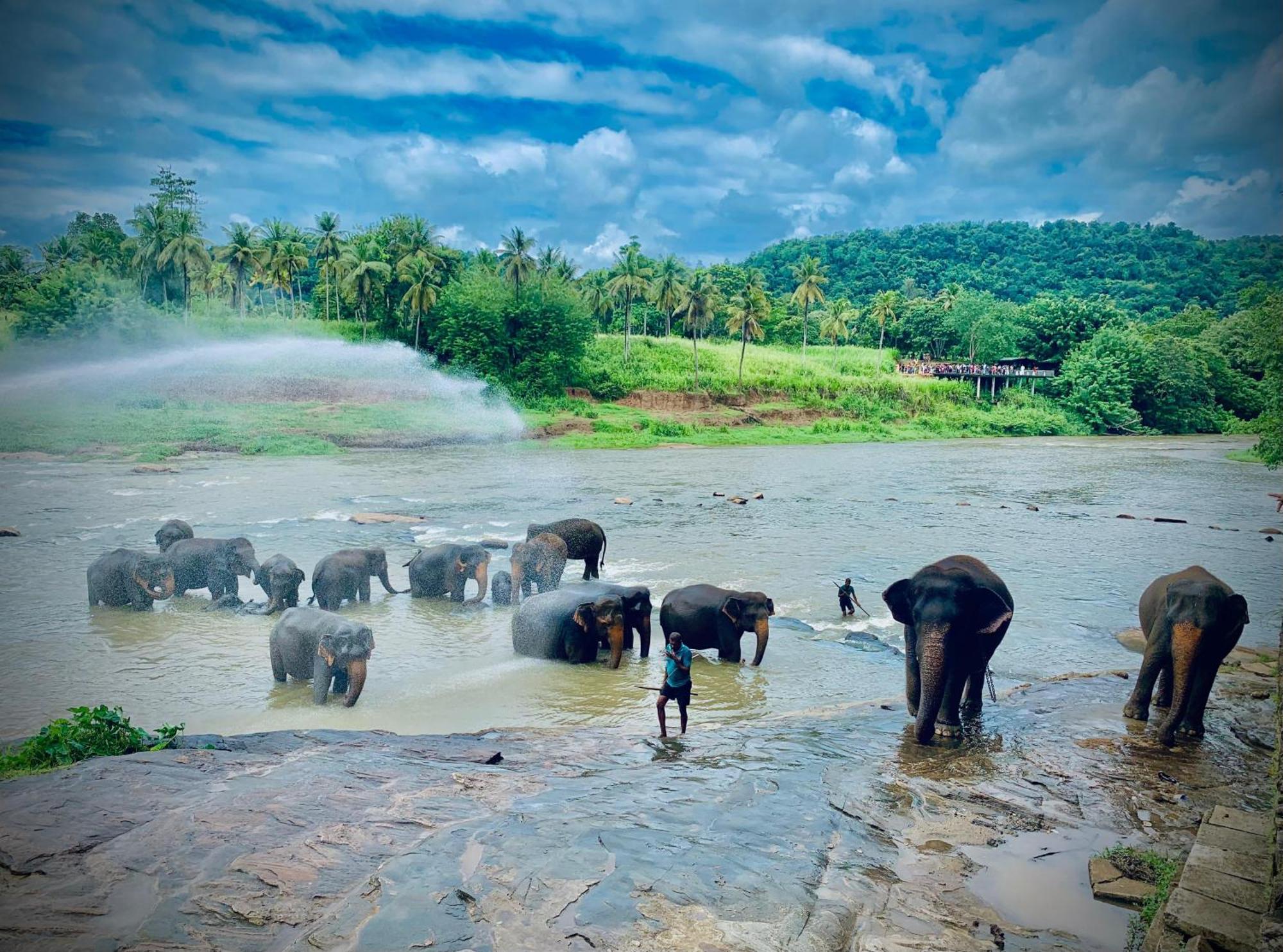 Elepath Lodge- Pinnawala Pinnawala  Buitenkant foto